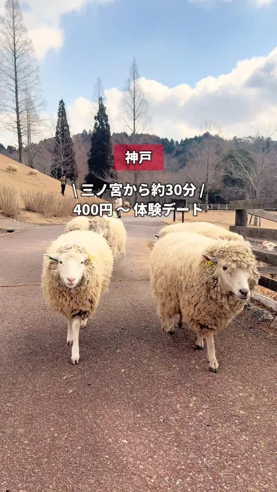 神戸市立六甲山牧場