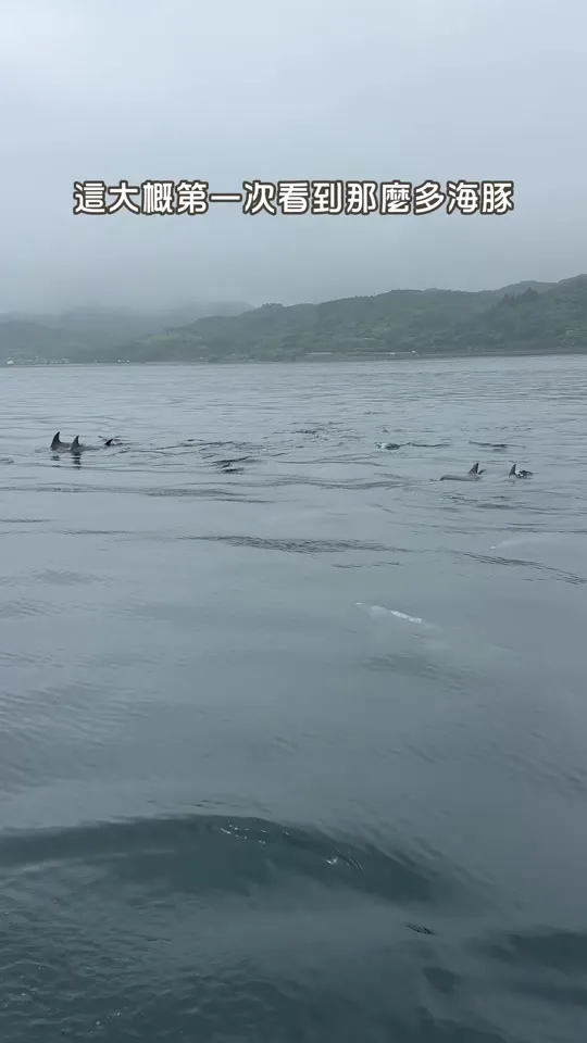 ミオ カミーノ アマクサ