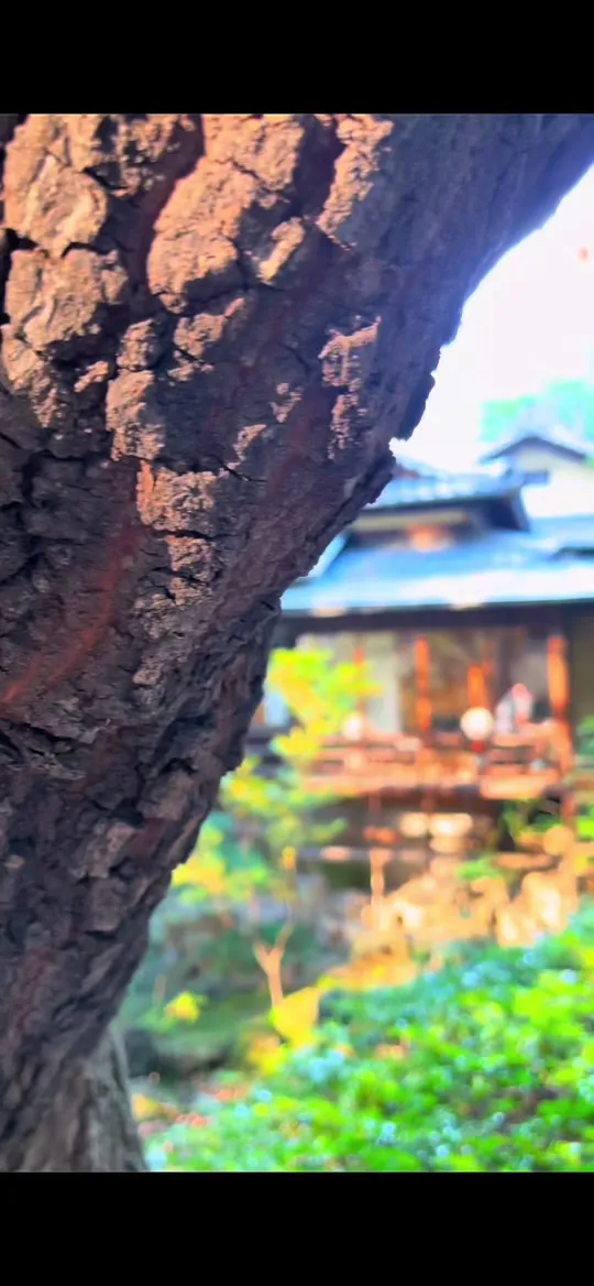 数寄屋カフェ