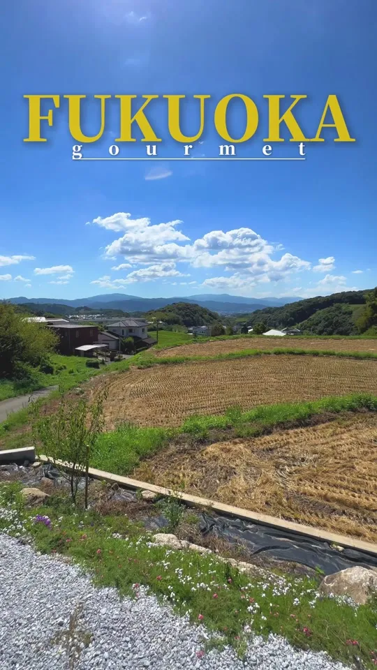 喫茶yamakujira