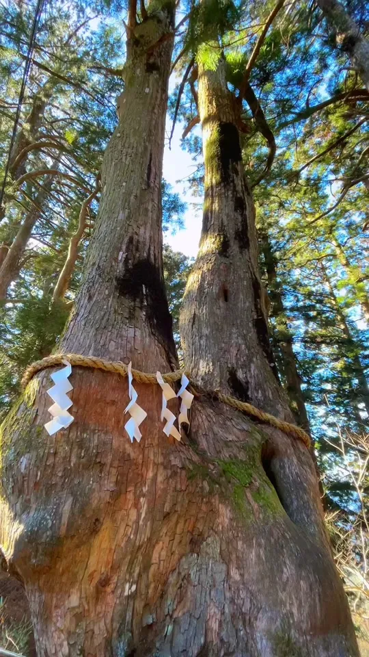 玉置山 栄山 玉置神社