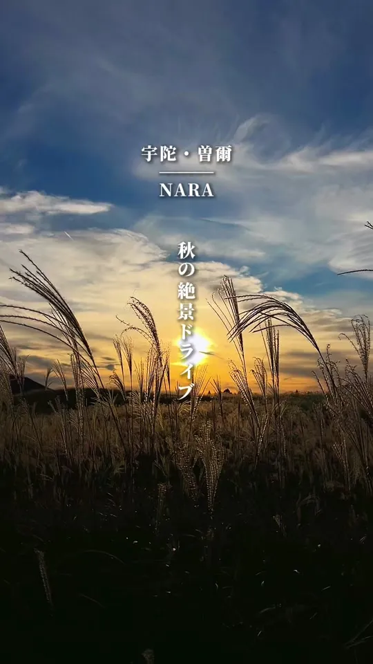 森のカフェHARUKA