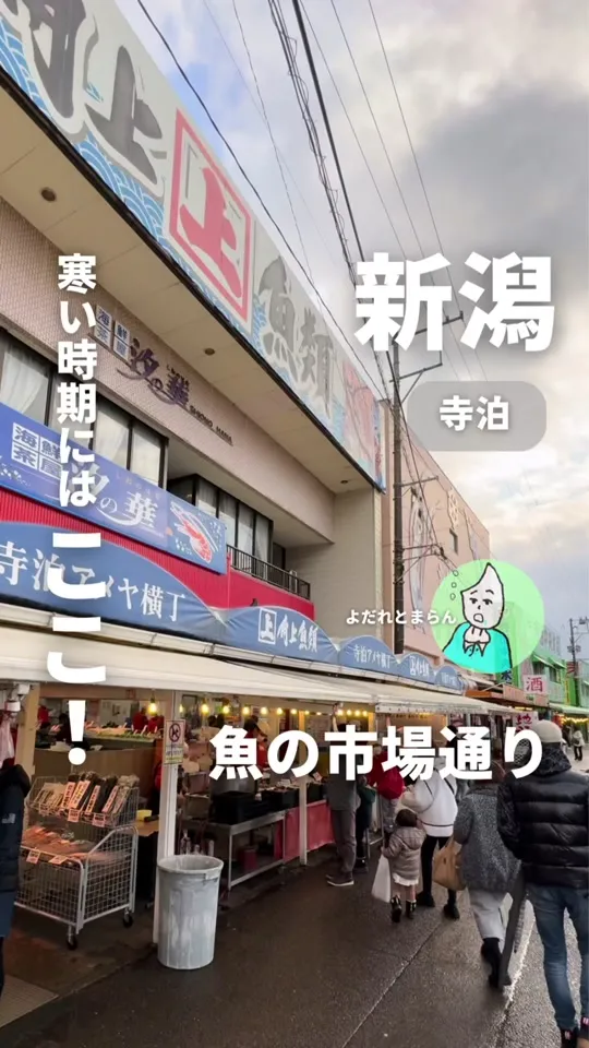 寺泊魚の市場通り(魚のアメ横)