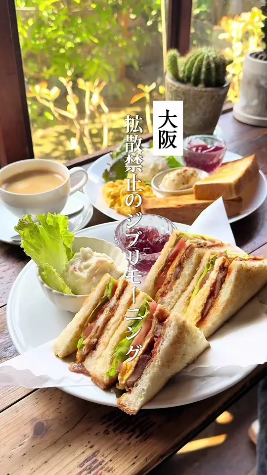 cafe マロニエ