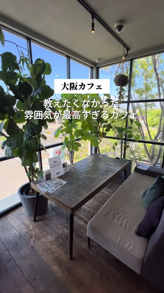 アンティカ ツリー カフェ