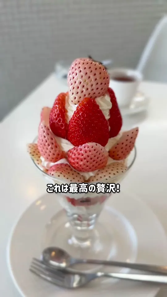 HashimotoFruits
