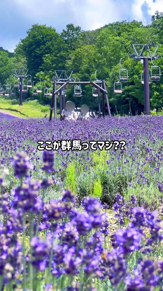 たんばらラベンダーパーク
