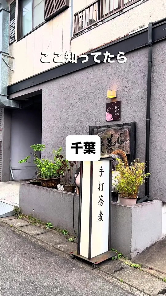 さくらそば