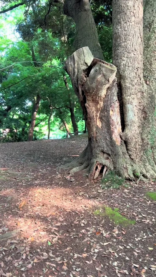 お休み処おおた