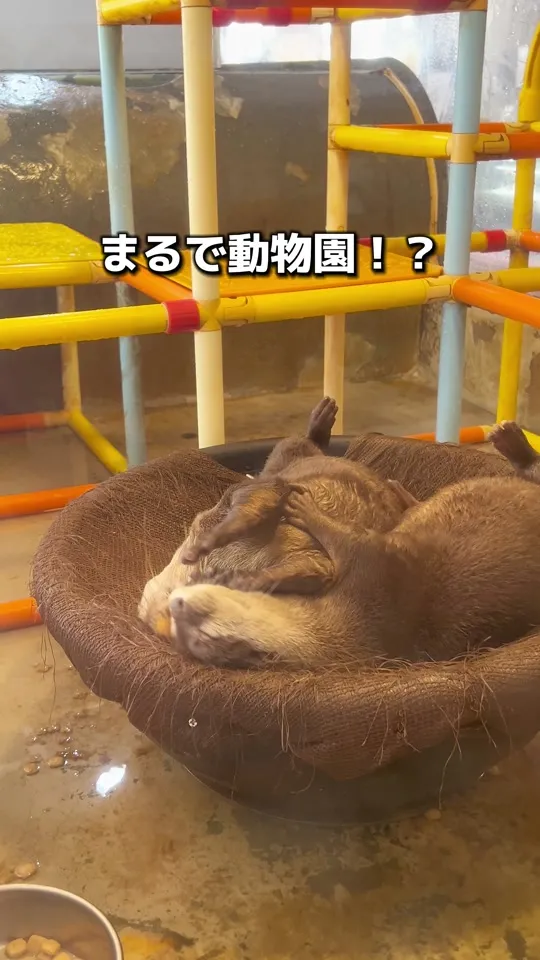 アルマド カフェ＆バー