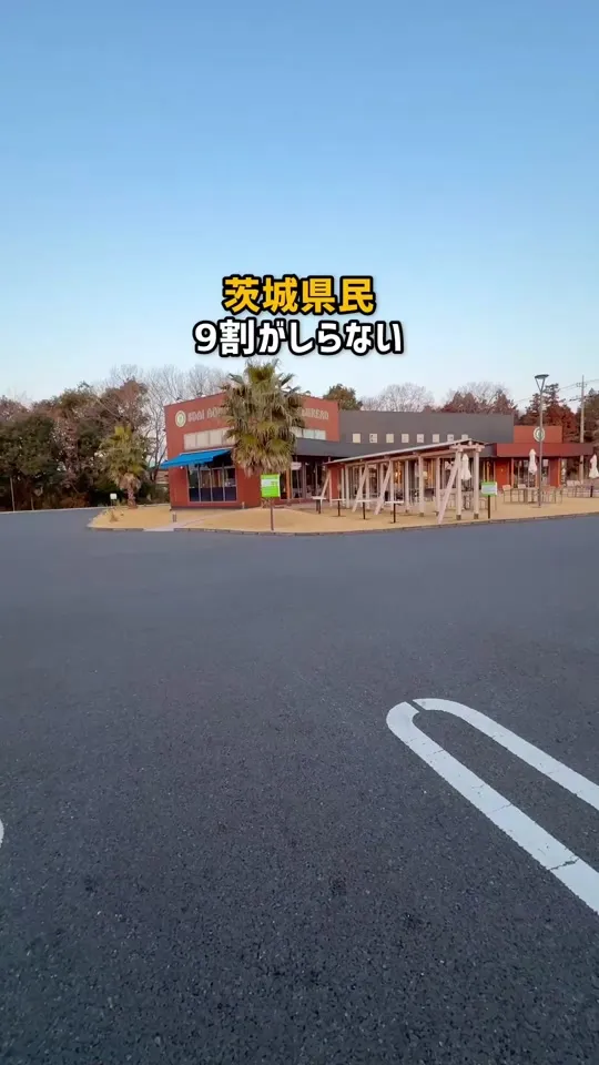8代葵カフェ ハワイ境店