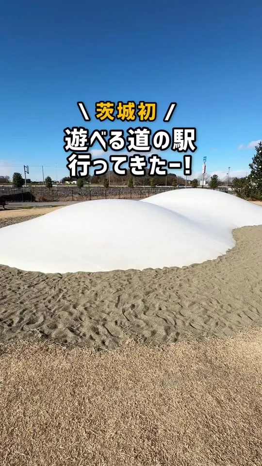 道の駅 まくらがの里こが