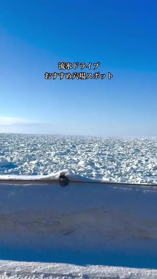 コーヒーチップ トマリ