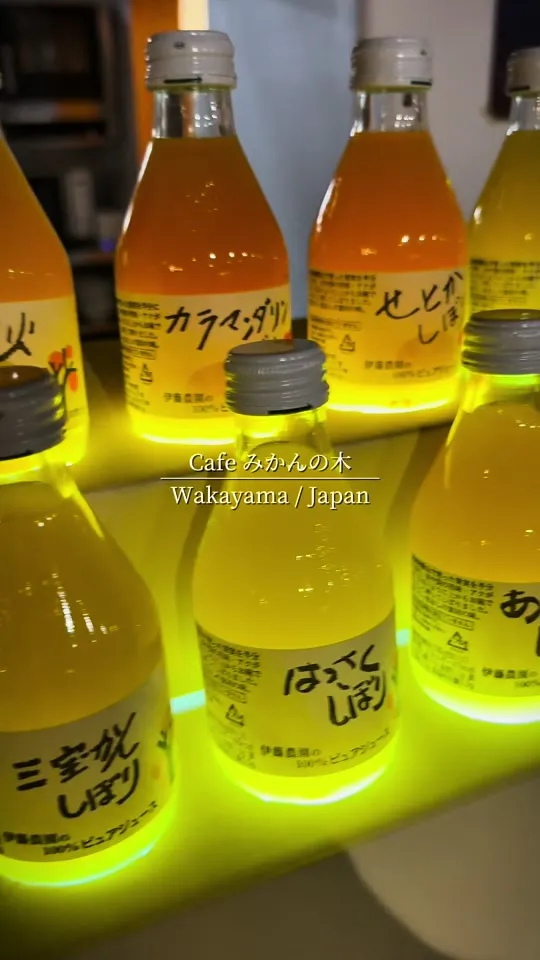 Cafe みかんの木