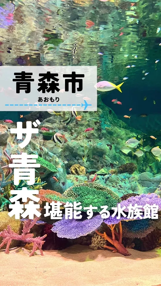 浅虫水族館
