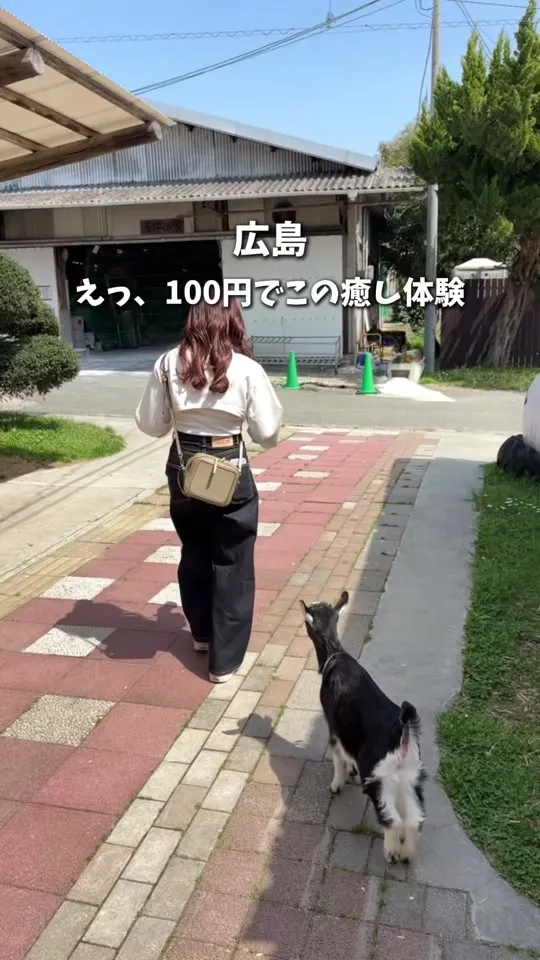 トムミルクファーム