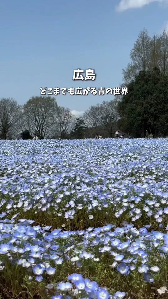 花夢の里