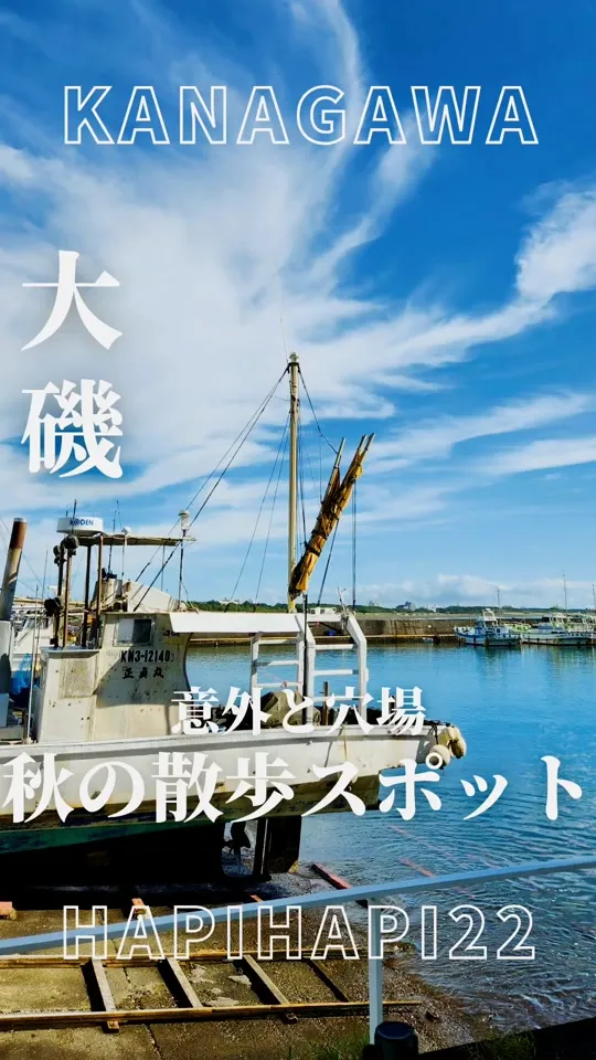 OISO CONNECT