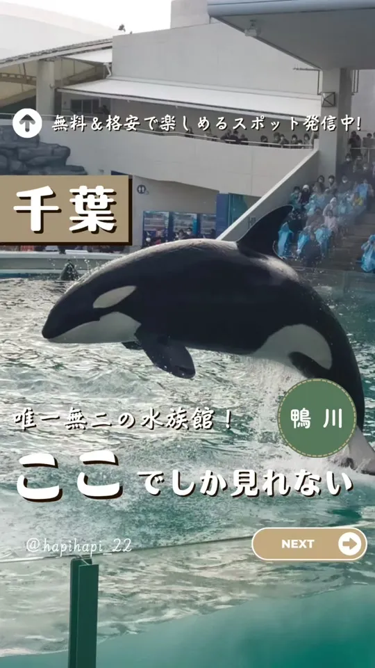 鴨川シーワールド
