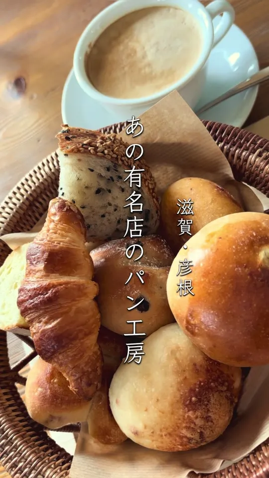 クラブハリエ ジュブリルタン