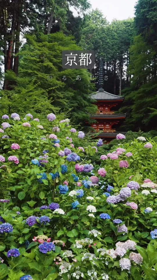 静