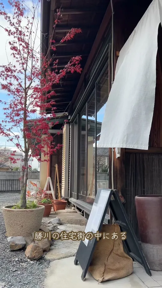 コーヒーポライト