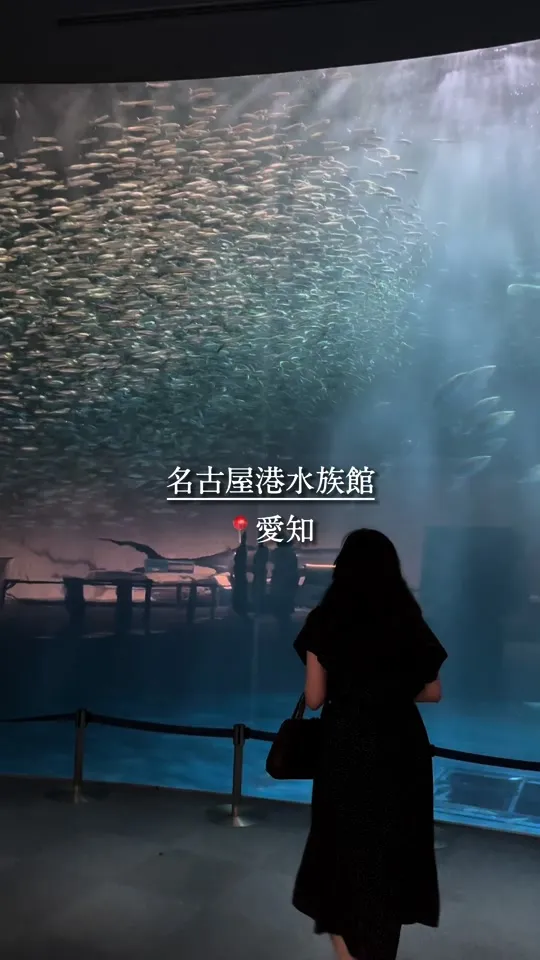 名古屋港水族館