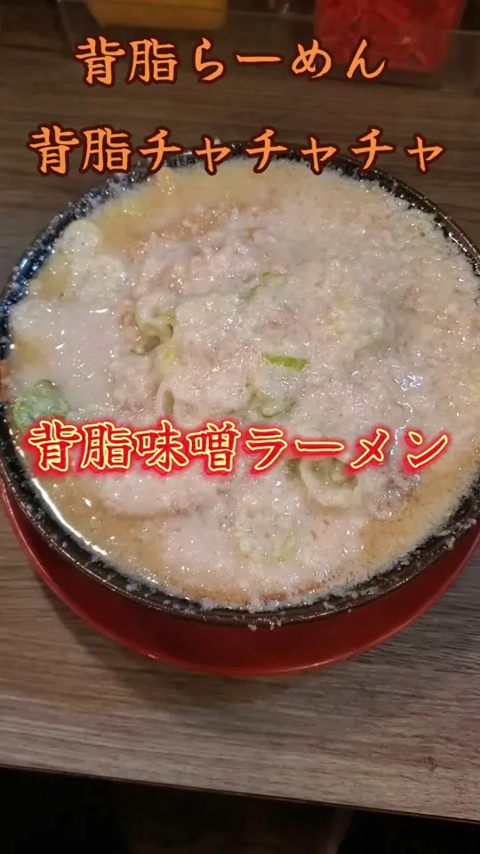 背脂らーめん 背脂チャチャチャ