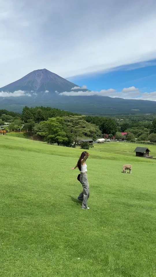 まかいの牧場