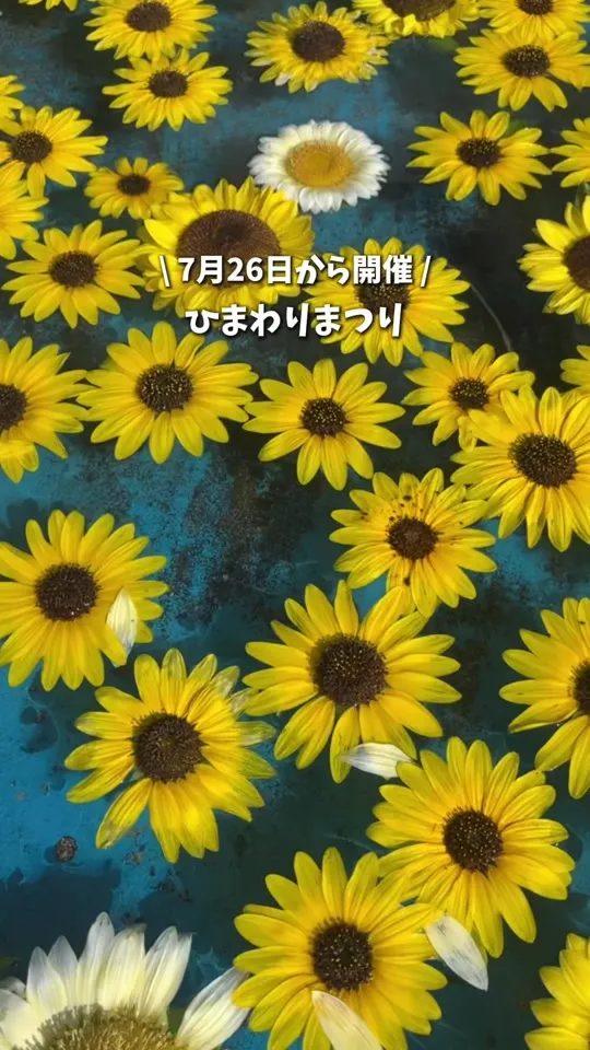 世羅高原農場