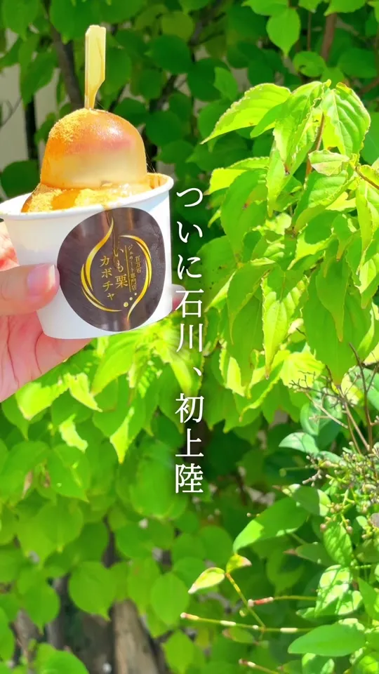 いも栗カボチャ