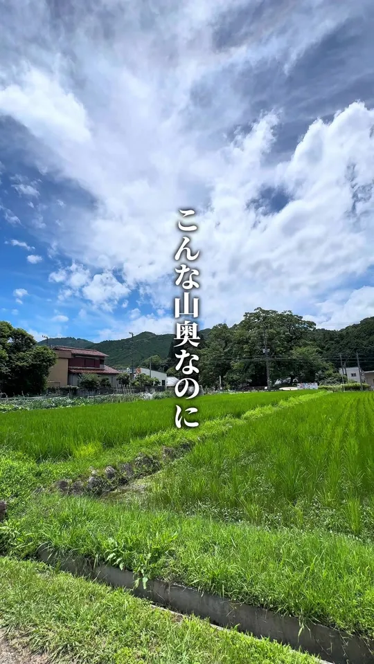 薪パン日々