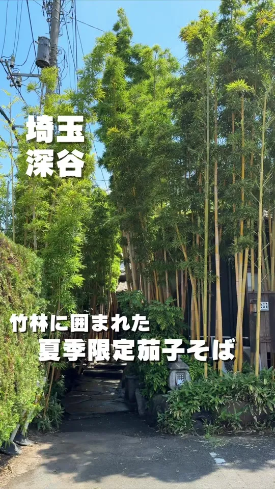 辻九 宿根店