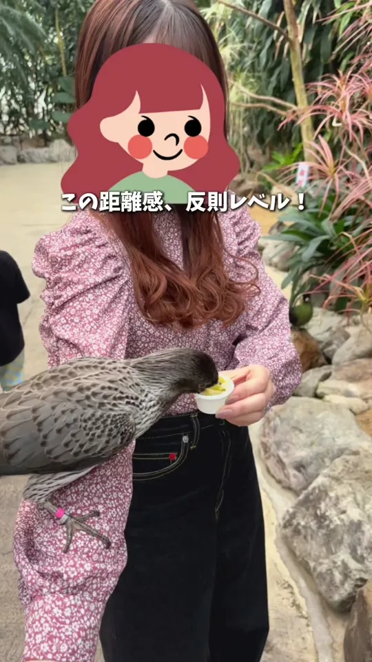 不昧庵