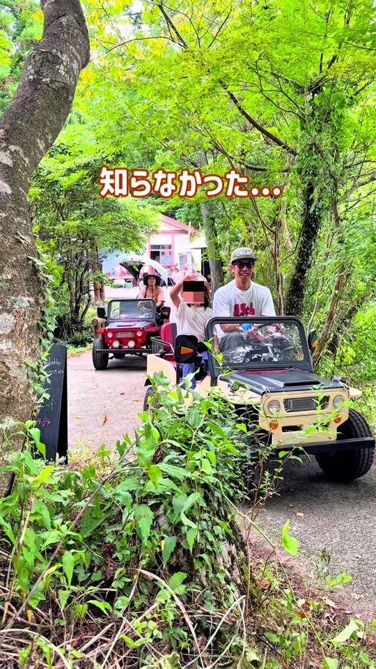 森のしらべ