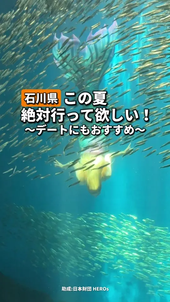 ドルフィン・テイル