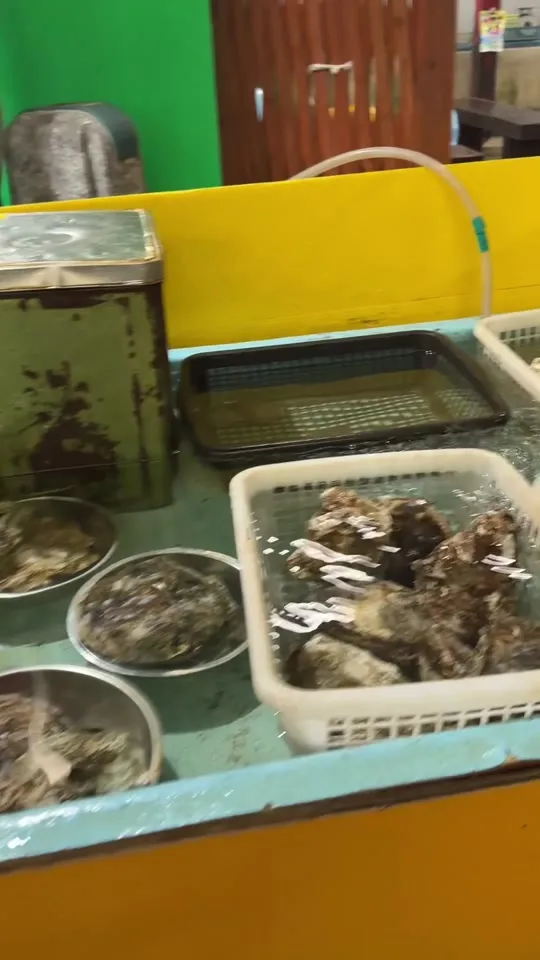 魚市魚座