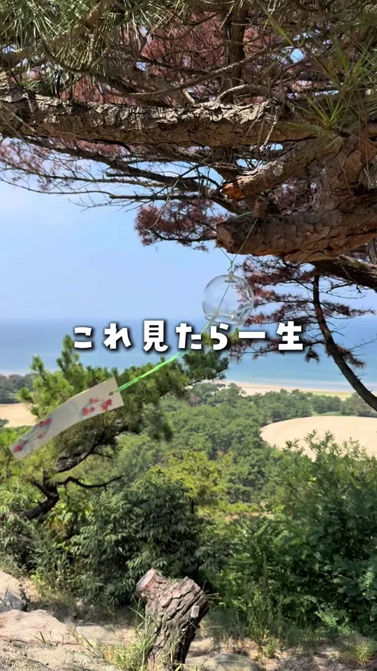銭形砂絵