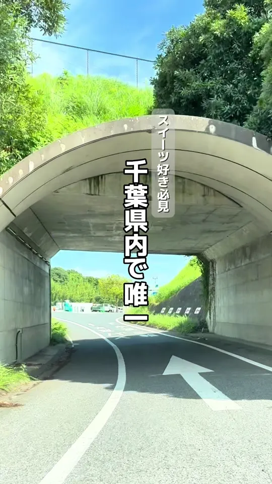 白い恋人ソフトクリーム 酒々井PA(下り)店