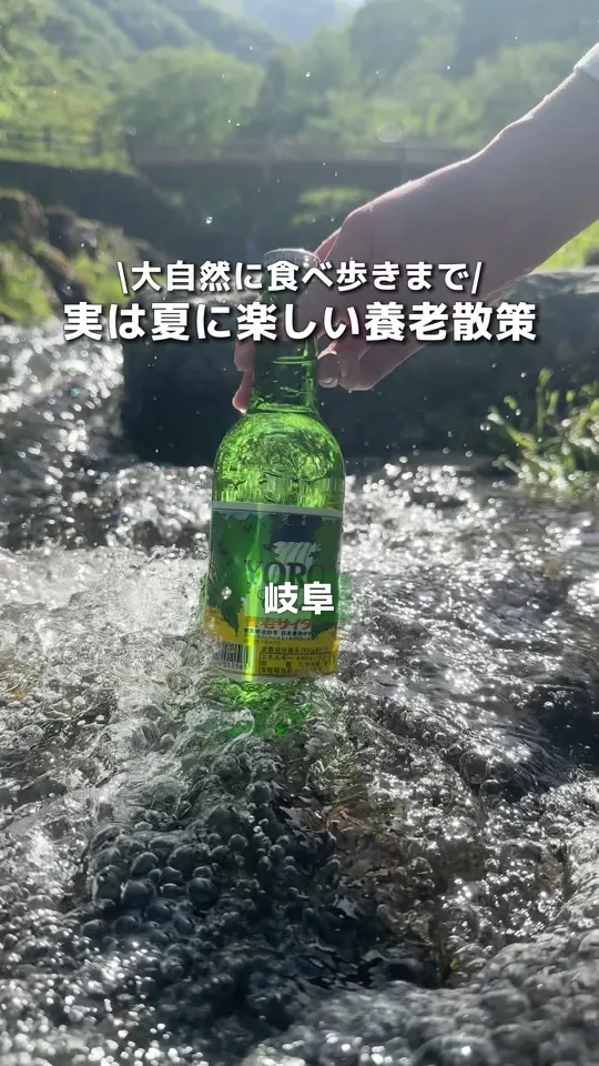 豊駒
