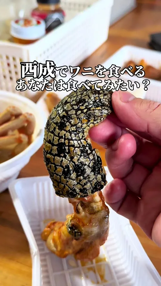 ホルモン俱楽部