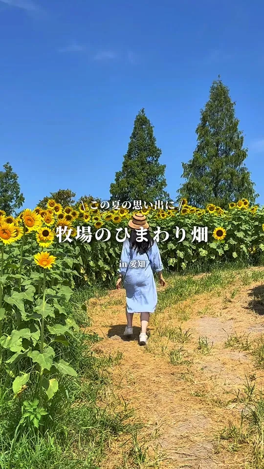 愛知牧場