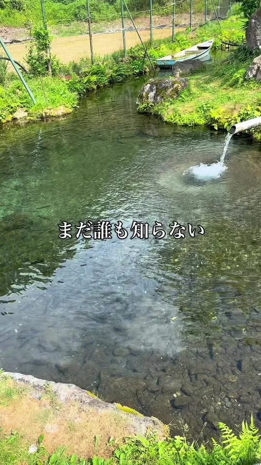 東北釣堀苑