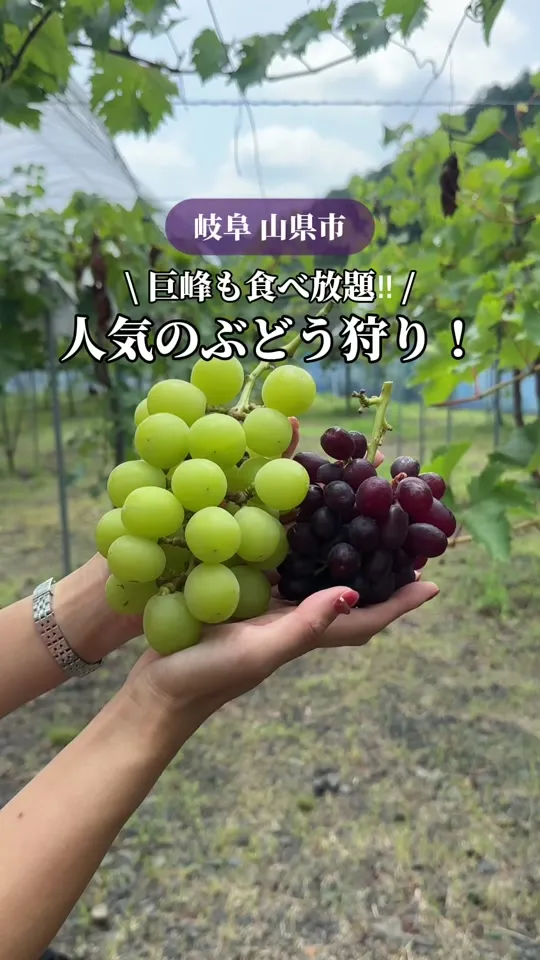 体験農園みとか