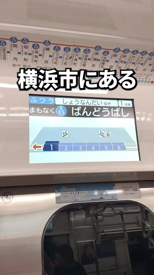 狐狸庵