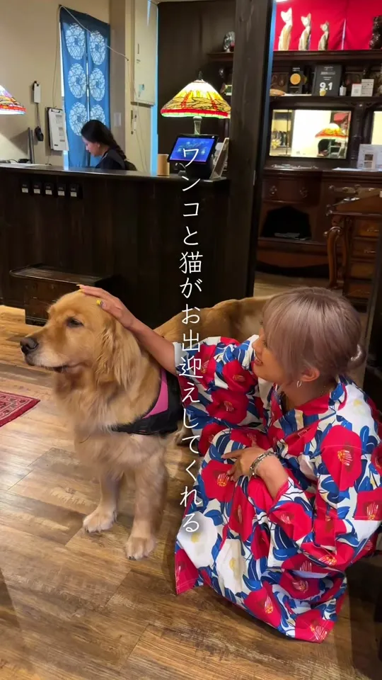 和モダンな温泉旅館 湯布院らんぷの宿