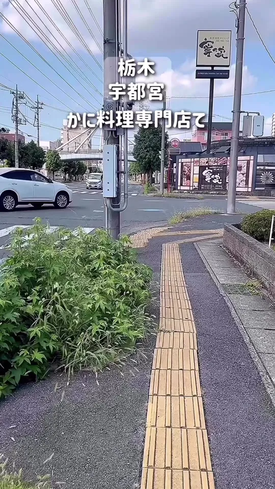 宇都宮甲羅本店