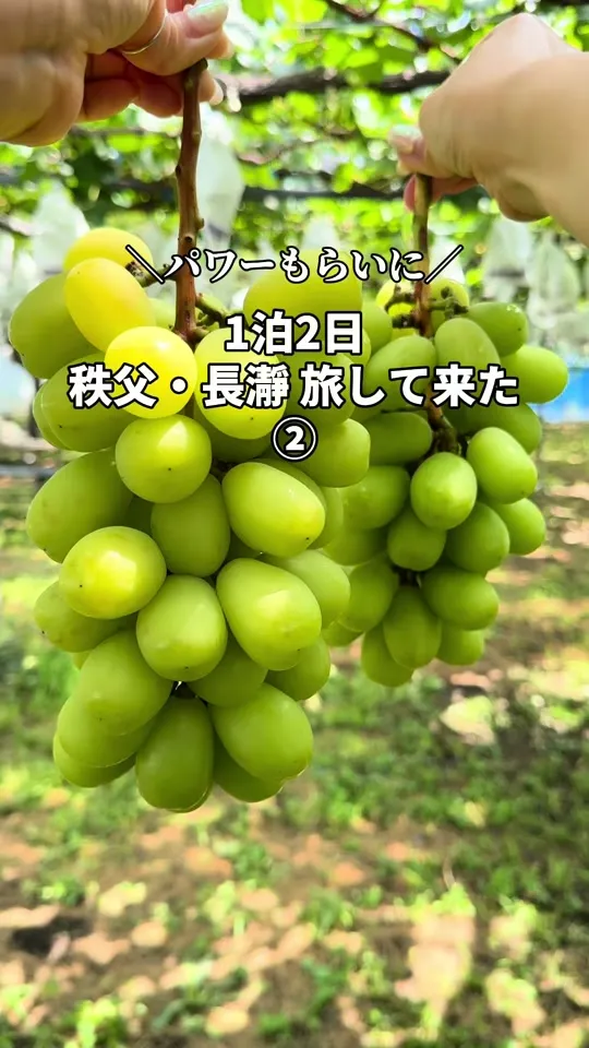 道の駅 ちちぶ 売店