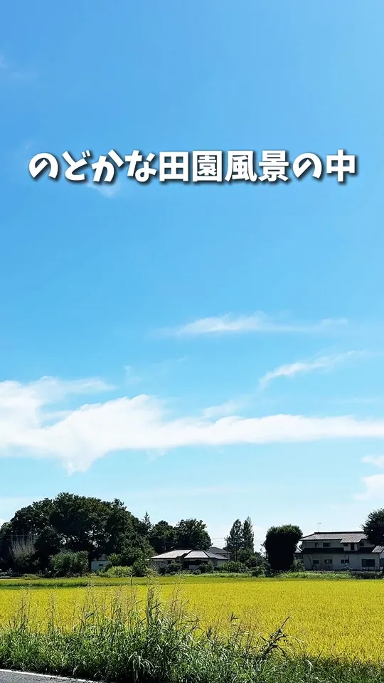 篁園