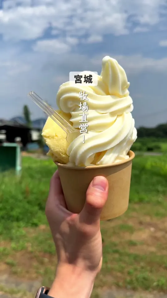 ㈲蔵王プロヴァンスファーム （牧場カフェ醍醐）